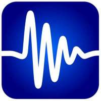 СТО ИП Джиг Т В